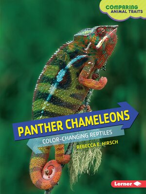 cover image of Panther Chameleons